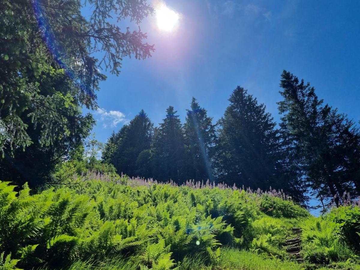 Gaestehaus Alpina Riezlern Exteriör bild